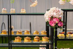 TTL_MA_Wedding-415